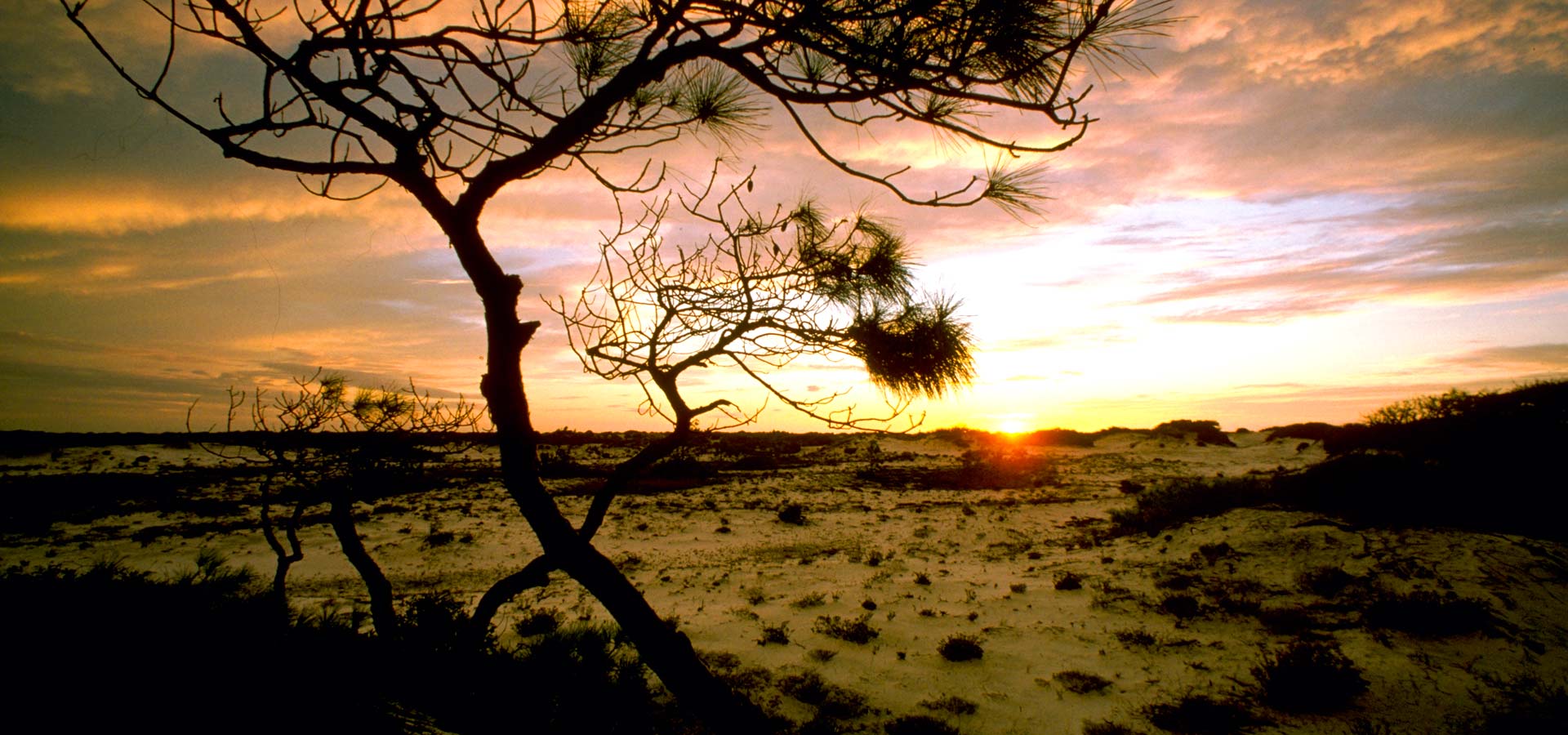 Mississippi Land Conservation Assistance Network