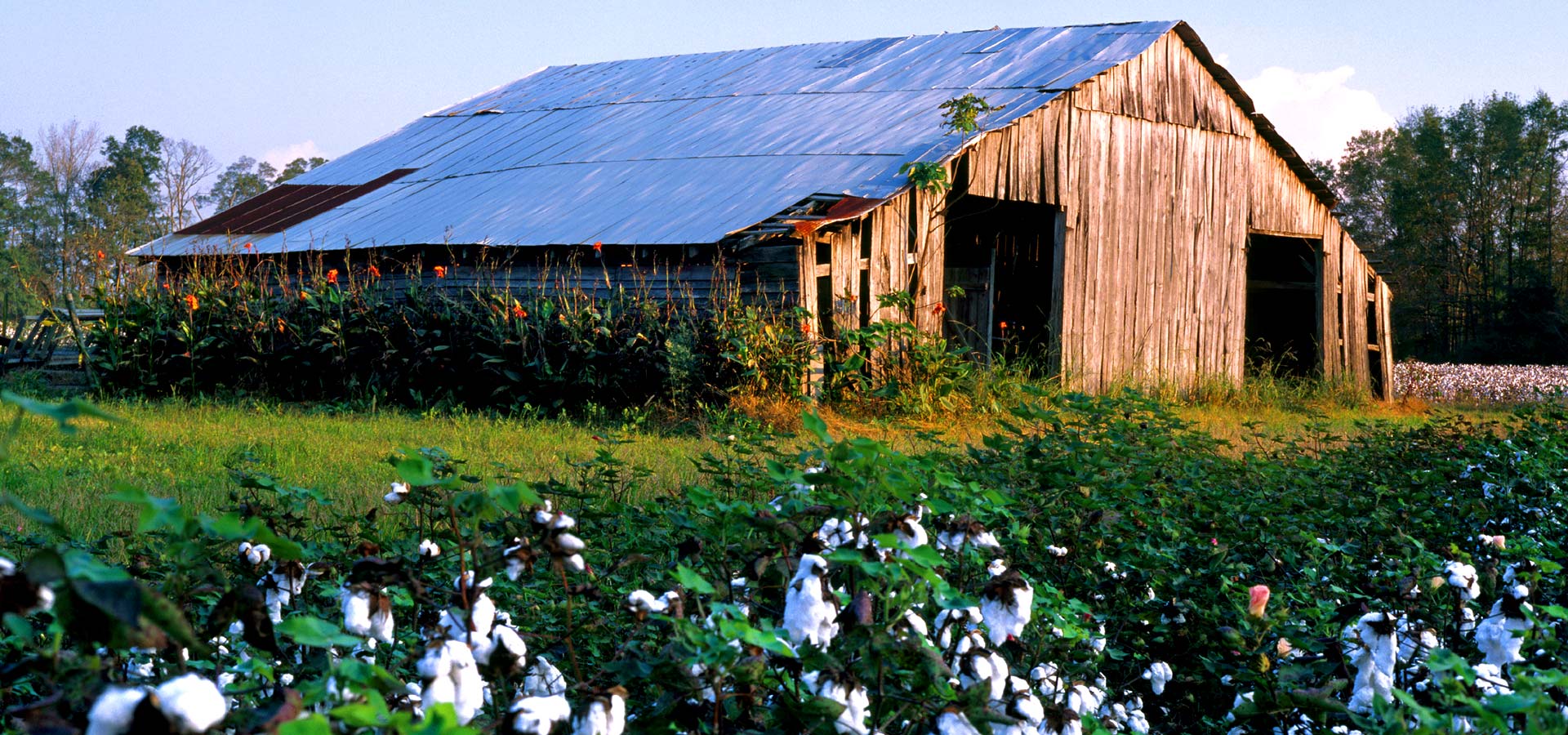 Mississippi Land Conservation Assistance Network